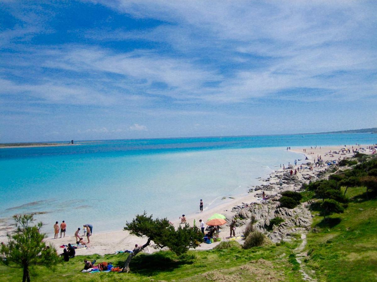 Appartamento Aria 150M Dal Mare Castelsardo Εξωτερικό φωτογραφία